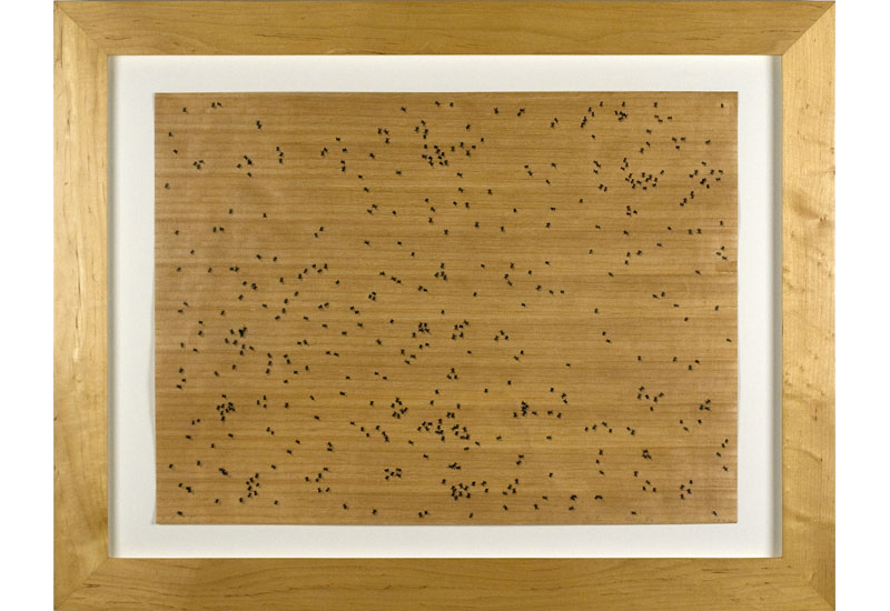 Edward Ruscha